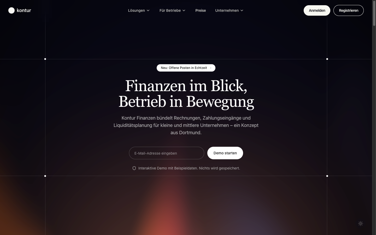 Kontur Finanzsoftware: fiktives Branchenkonzept